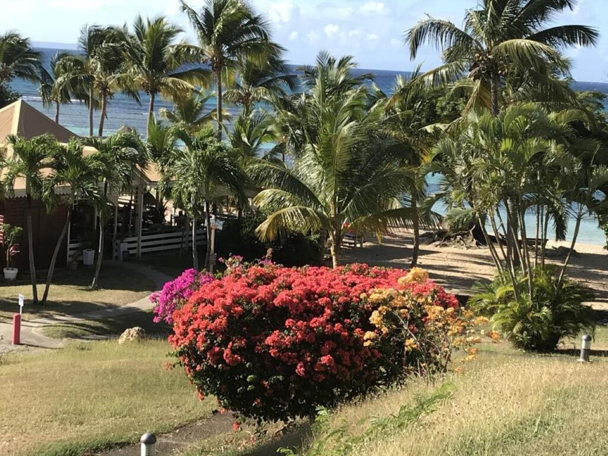 Studio Mojito Vue Mer,Piscine Avec Cuve Eau Et Acces Plage Et Piscine Anse Des Rochers Saint-Francois  Kültér fotó