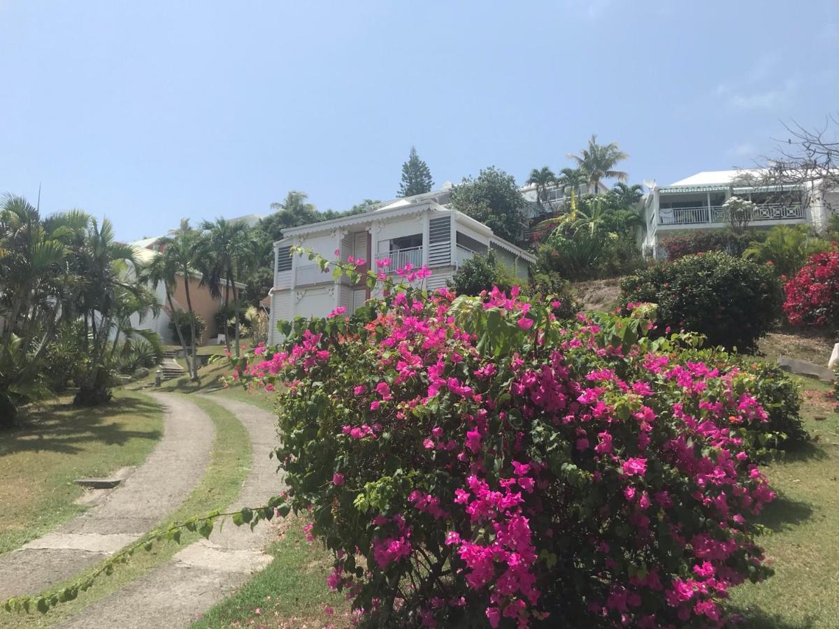 Studio Mojito Vue Mer,Piscine Avec Cuve Eau Et Acces Plage Et Piscine Anse Des Rochers Saint-Francois  Kültér fotó