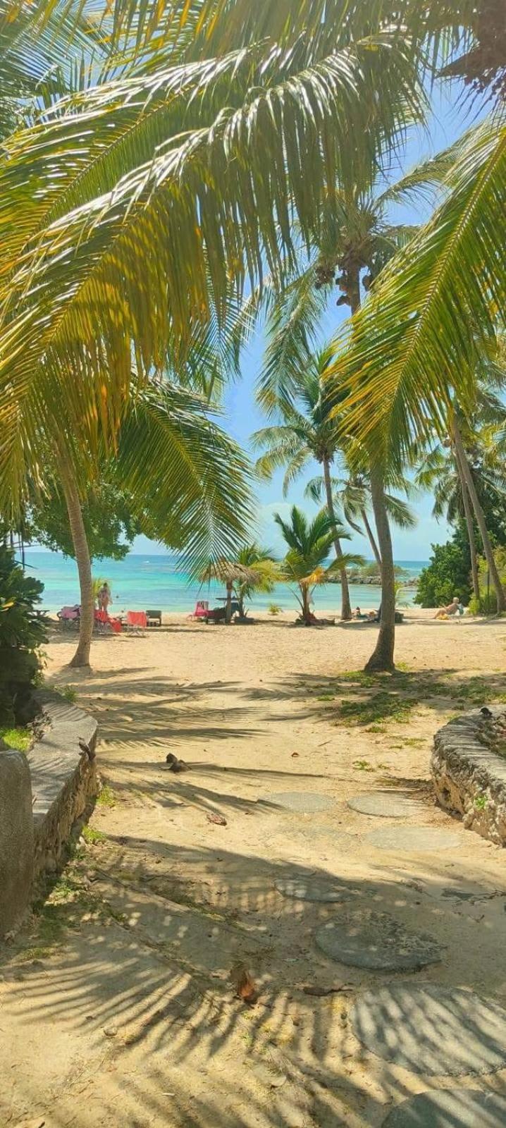 Studio Mojito Vue Mer,Piscine Avec Cuve Eau Et Acces Plage Et Piscine Anse Des Rochers Saint-Francois  Kültér fotó